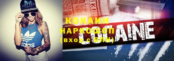индика Волоколамск