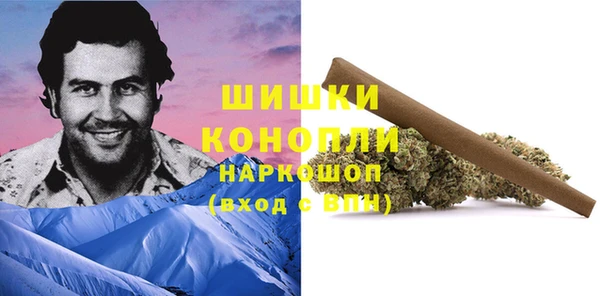 индика Волоколамск