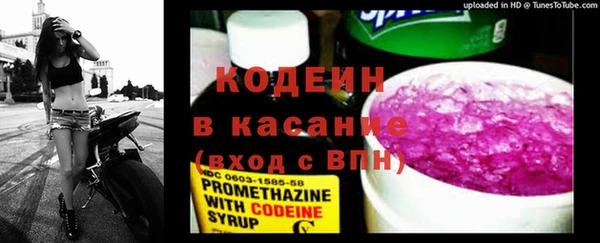 индика Волоколамск