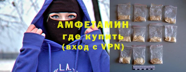 индика Волоколамск