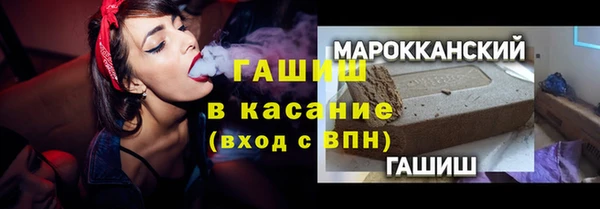 индика Волоколамск