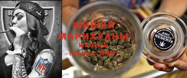 индика Волоколамск