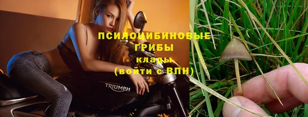 тгк Володарск
