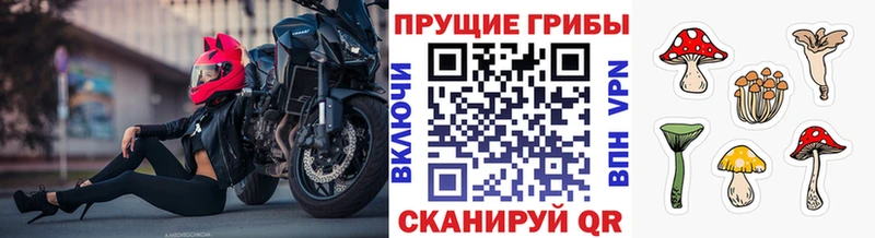 Псилоцибиновые грибы ЛСД  Купить где  Медногорск 